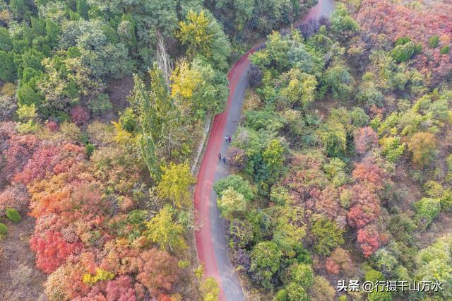 济南白云湖自驾游（捎近村自驾游攻略）(11)