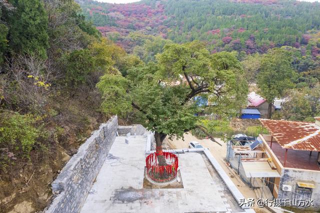 济南白云湖自驾游（捎近村自驾游攻略）(12)