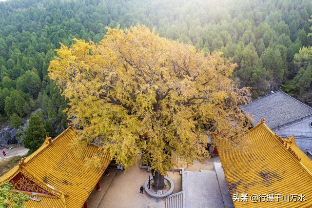 济南白云湖自驾游（捎近村自驾游攻略）(4)