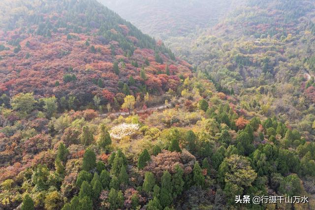 济南白云湖自驾游（捎近村自驾游攻略）(18)