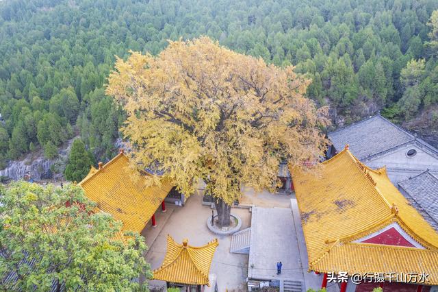 济南白云湖自驾游（捎近村自驾游攻略）(1)