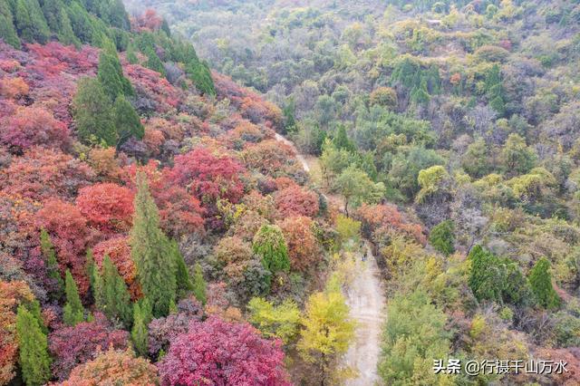 济南白云湖自驾游（捎近村自驾游攻略）(19)