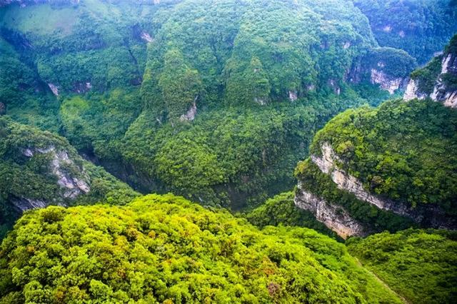 去重庆旅游十大景点（这11大景点不容错过）(9)