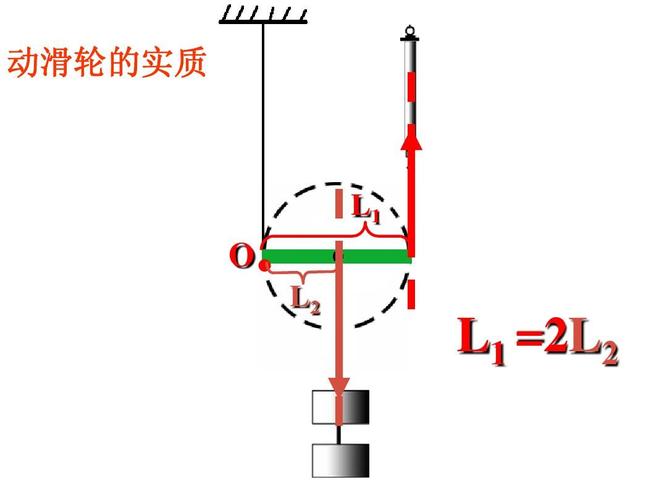 动滑轮的实质是什么（什么是动滑轮）