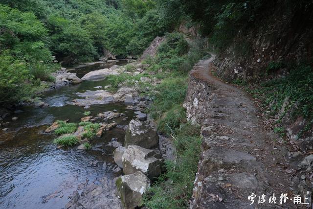 宁波十大旅游景点介绍（宁波这座千年古村藏着一条大峡谷）(4)