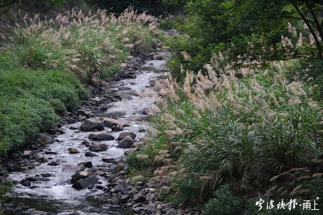 宁波十大旅游景点介绍（宁波这座千年古村藏着一条大峡谷）(6)