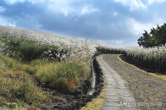 济州岛6天旅游景点攻略图（济州岛6个出名景点）(9)