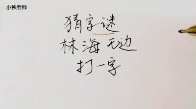 ​林海无边打一字（林海无边打一字是什么）