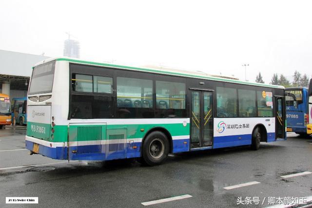 香港旅游必到十大景点有哪些（深圳往香港旅游不能错过的九大景点-最全攻略全在这儿）(2)