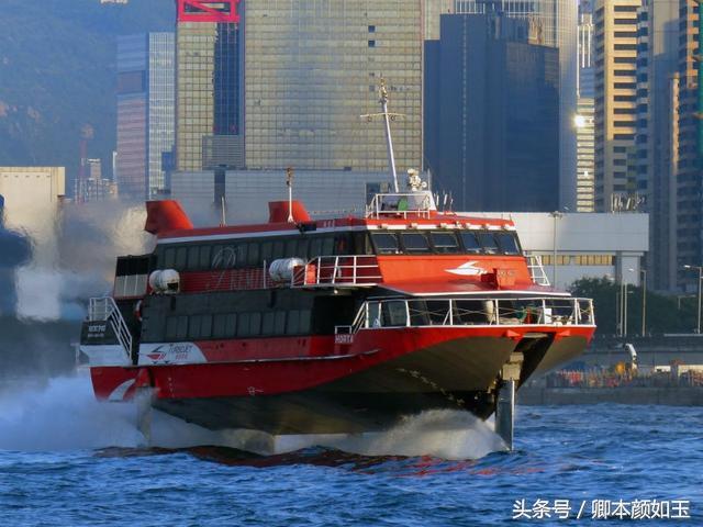 香港旅游必到十大景点有哪些（深圳往香港旅游不能错过的九大景点-最全攻略全在这儿）(8)