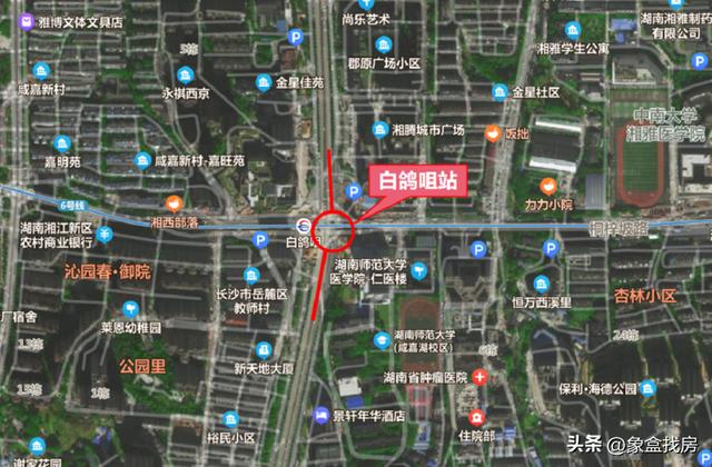 各地地铁8号线最新线路图（来了来了地铁8号线）(19)