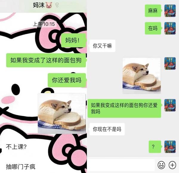 假如我变成面包狗你还会爱我吗