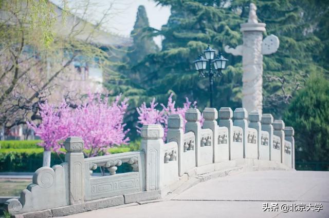 北京大学100年校庆（北京大学122周年校庆系列活动来啦）(5)