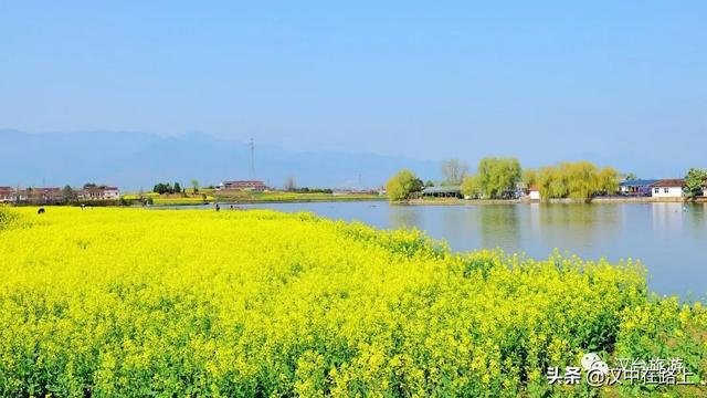 汉中油菜花最佳观花点（汉中不容错过的三大观花点）(15)