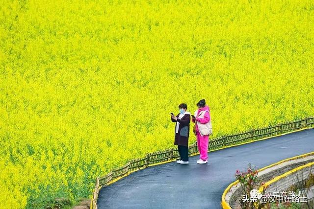 汉中油菜花最佳观花点（汉中不容错过的三大观花点）(2)