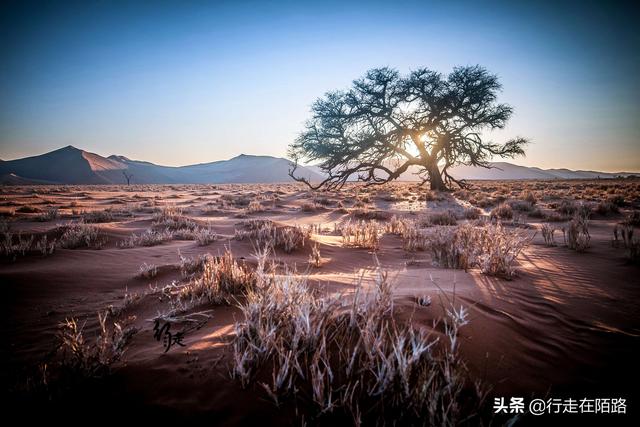 全球10大最壮观的沙漠绿洲（地下有全球最大钻石矿床）(14)