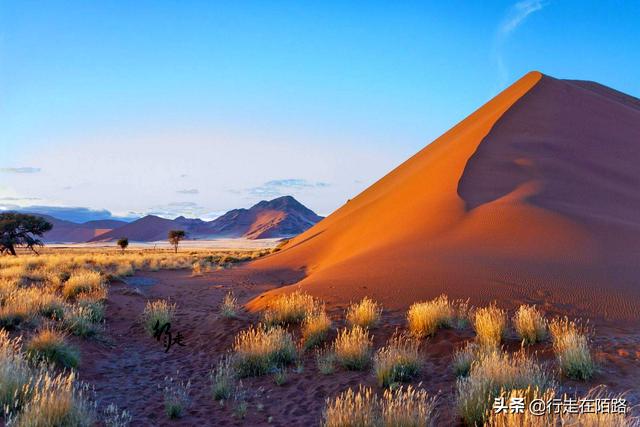 全球10大最壮观的沙漠绿洲（地下有全球最大钻石矿床）(9)