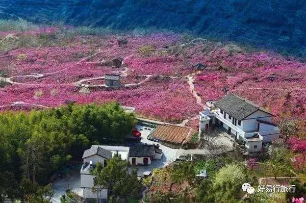 南昆山云顶温泉游玩攻略（这个元旦吃喝玩乐我们全包了）(11)