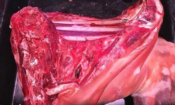 鞑靼怎么读牛肉,鞑靼怎么读图6