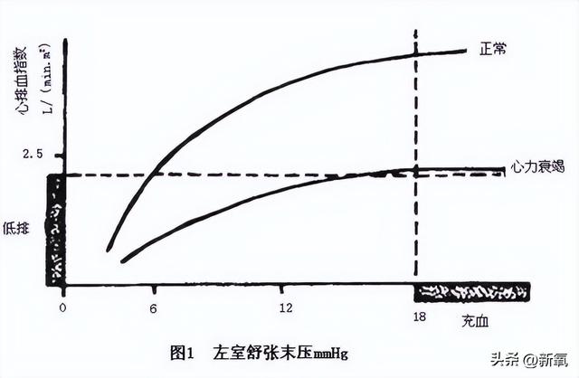 利马超模历届走秀（退休超模BarbaraPalvin回归网友）(48)