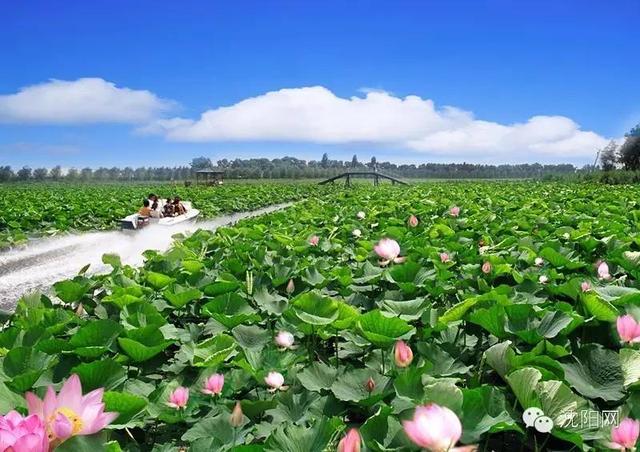 沈阳十一度假好去处（寻找沈阳春季好去处第7期沈阳30大神秘度假圣地）(9)