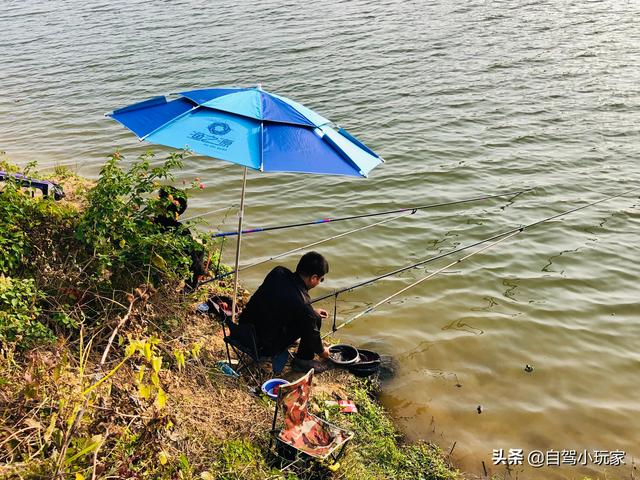 深圳周边露营野炊十大圣地（深圳周边我去过最舒服的一个露营地）(6)