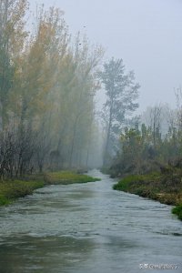 ​郑州黄河风景区攻略图（实拍火遍郑州的潮河）