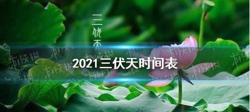 24年三伏天的时间表