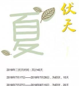 ​今年的三伏天时间表，22年三伏天的起伏时间表？