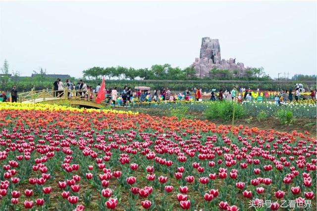 临沂沂蒙山景区旅游攻略（山东临沂这五个景点值得一去）(4)