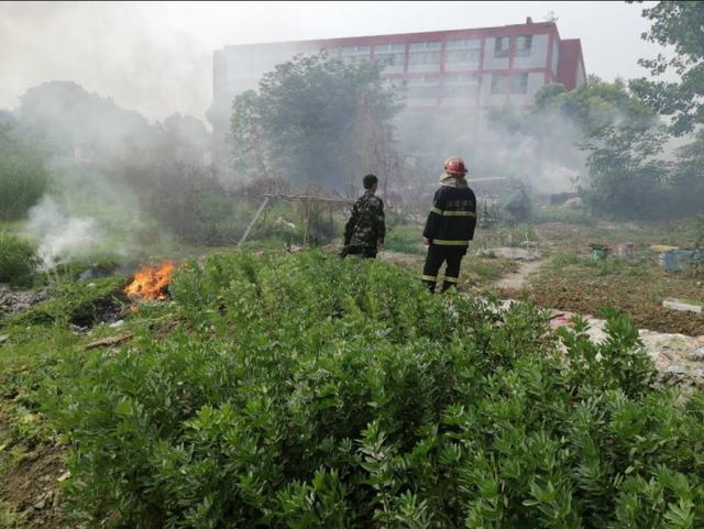 合肥一小区凌晨起火事件（合肥一小学门前发生火灾）(2)