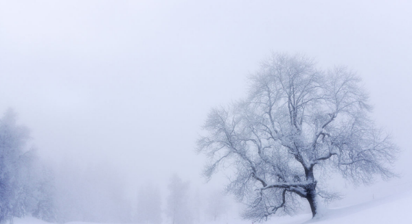 水是怎么变成雪花的,水到雪花的变化过程是什么现象图4