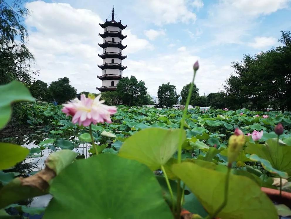 金华一日游必去景点大全(金华免费一日游最佳地方)