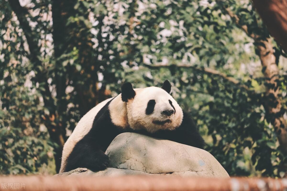 五一适合亲子旅游的地方有哪些(五一国内亲子游必去的地方)