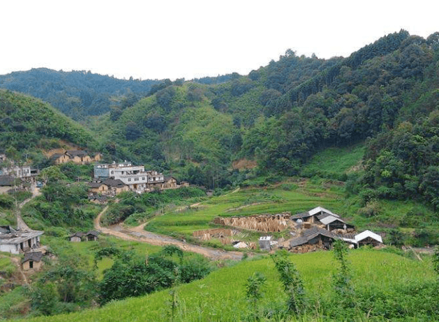 苍梧县属于哪个市(广西苍梧县属于哪个市)