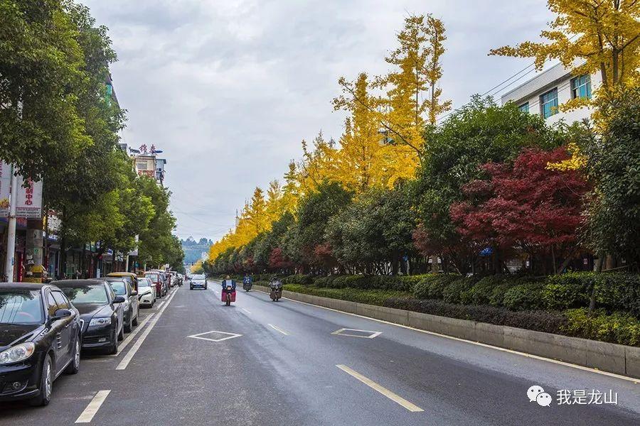 龙山县属于哪个市(湖南龙山县属于哪个市)