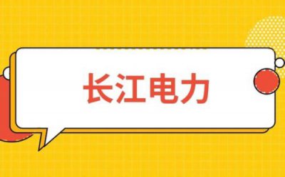 ​武汉长江电力有限公司(长江电力有限公司待遇)