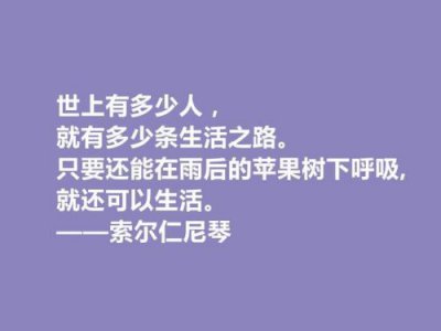 ​索尔仁尼琴名言名句语录(俄罗斯良心索尔仁尼琴名言)