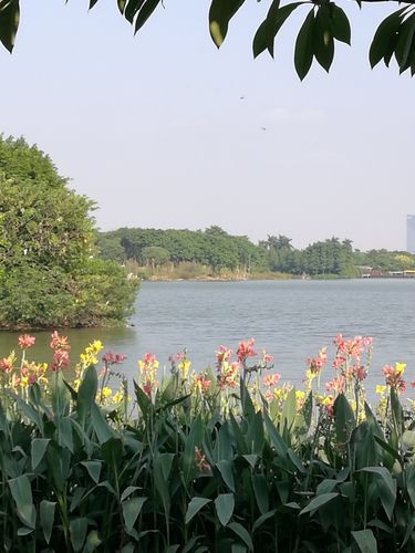 第三天：海珠湖-花城广场散步欣赏岭南名胜风景