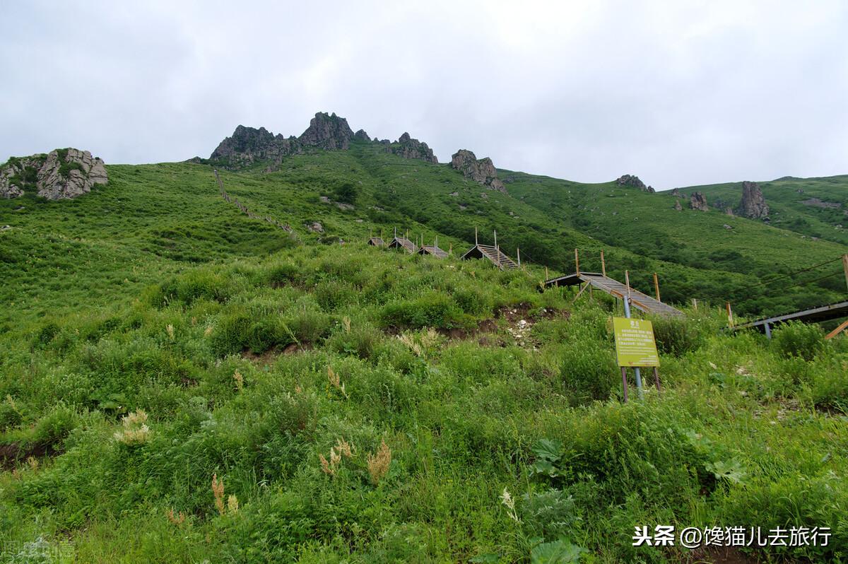 北京最高的山峰(北京最高的山峰是什么山)