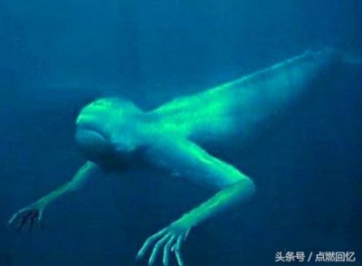 ​ningen南极人（神秘生物”Ningen“来源揭晓）