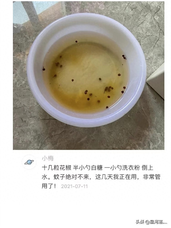 洗衣粉水灭蚊是真的吗(洗衣液兑水能杀死蚊子吗)