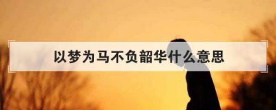 ​心之所向行之所往以梦为马不负韶华的意思(前程似锦以梦为马不负韶华的意思)