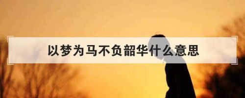 心之所向行之所往以梦为马不负韶华的意思(前程似锦以梦为马不负韶华的意思)-第1张图片-