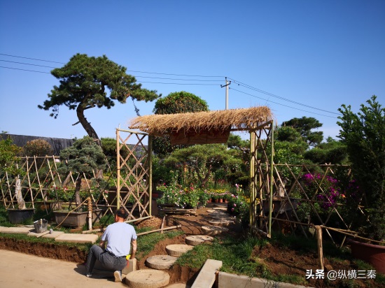 实拍西安城南最大的花卉市场，花卉超便宜，就是路程有点远