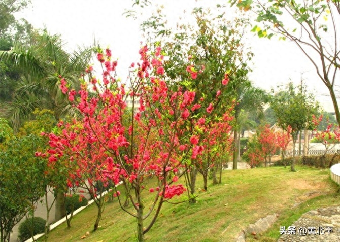 广西百色市祈福高中