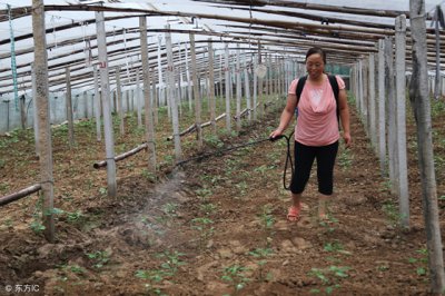 ​生物农药有哪些常用的(什么是生物农药？生物农药有哪些种类？)