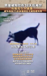 ​男童被狗咬伤离世，或为当地25年来首例狂犬病免疫失败，市疾控介入调查