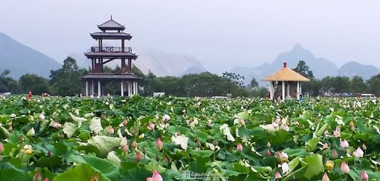 广西最穷的五个城市, 第一是河池, 第五是来宾