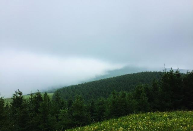 我看到的草原天路，雨天一片茫然